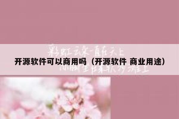 开源软件可以商用吗（开源软件 商业用途） 第1张