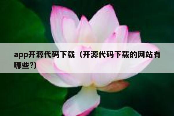 app开源代码下载（开源代码下载的网站有哪些?） 第1张