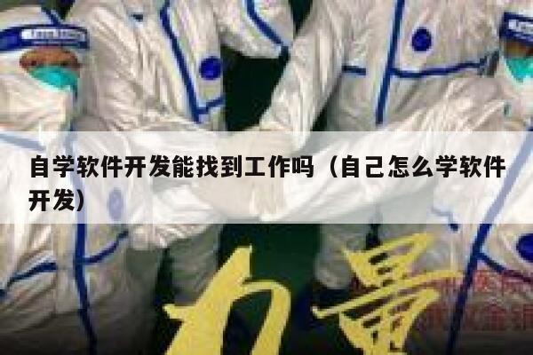 自学软件开发能找到工作吗（自己怎么学软件开发） 第1张
