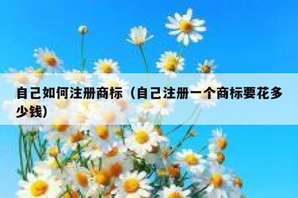 自己如何注册商标（自己注册一个商标要花多少钱） 第1张