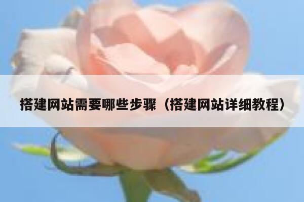 搭建网站需要哪些步骤（搭建网站详细教程） 第1张