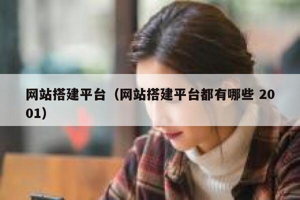 网站搭建平台（网站搭建平台都有哪些 2001） 第1张
