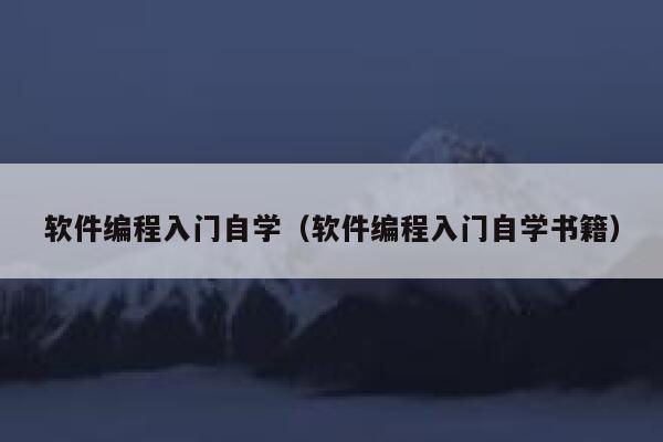 软件编程入门自学（软件编程入门自学书籍） 第1张