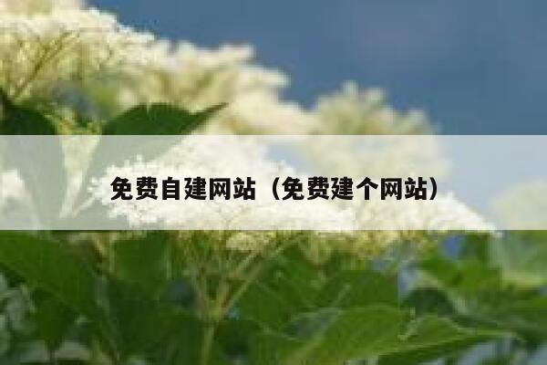 免费自建网站（免费建个网站） 第1张