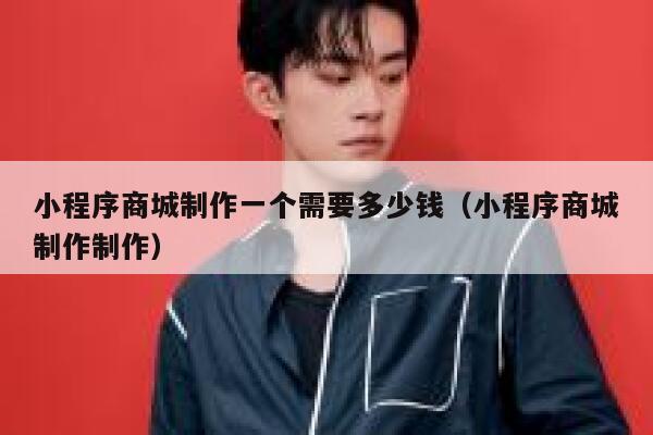 小程序商城制作一个需要多少钱（小程序商城制作制作） 第1张