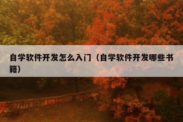 自学软件开发怎么入门（自学软件开发哪些书籍） 第1张