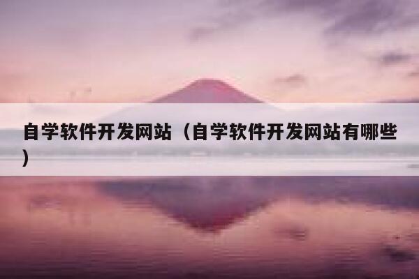 自学软件开发网站（自学软件开发网站有哪些） 第1张