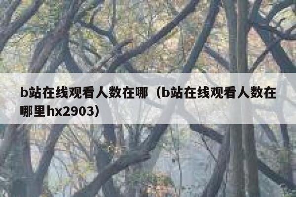 b站在线观看人数在哪（b站在线观看人数在哪里hx2903） 第1张