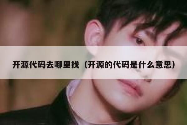 开源代码去哪里找（开源的代码是什么意思） 第1张