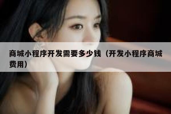 商城小程序开发需要多少钱（开发小程序商城费用） 第1张