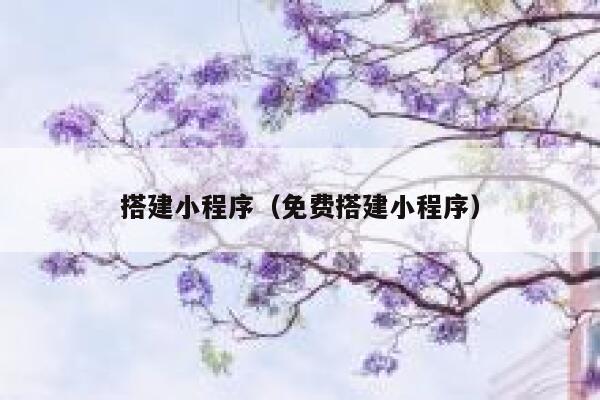 搭建小程序（免费搭建小程序） 第1张
