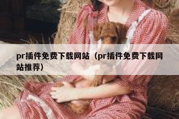 pr插件免费下载网站（pr插件免费下载网站推荐） 第1张