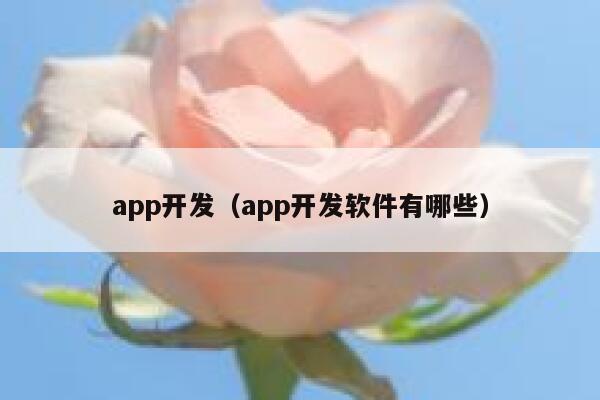 app开发（app开发软件有哪些） 第1张