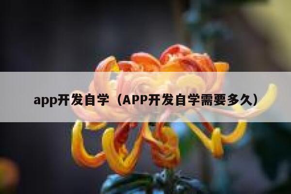 app开发自学（APP开发自学需要多久） 第1张