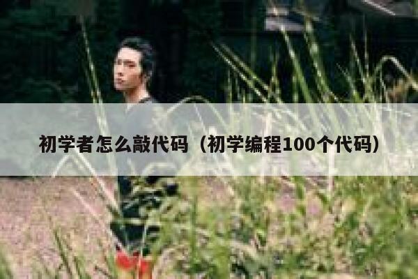 初学者怎么敲代码（初学编程100个代码） 第1张