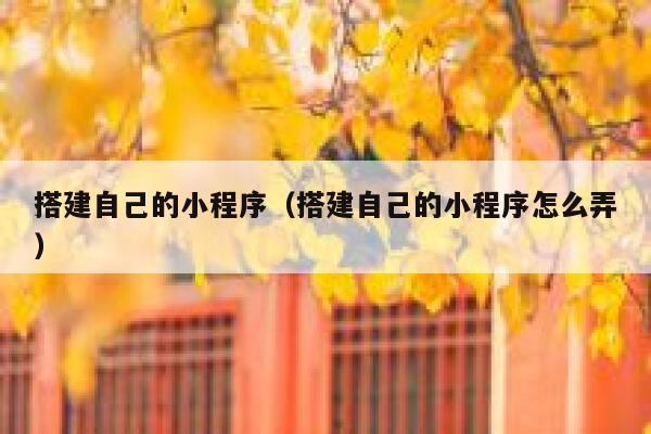 搭建自己的小程序（搭建自己的小程序怎么弄） 第1张