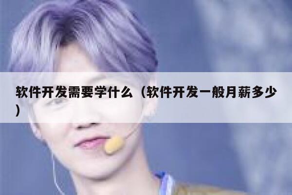 软件开发需要学什么（软件开发一般月薪多少） 第1张