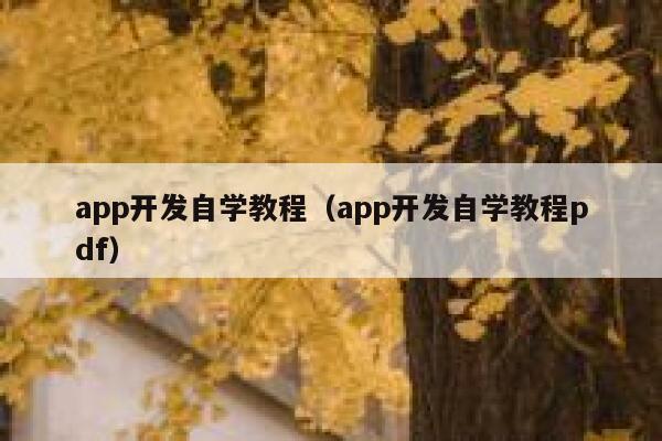 app开发自学教程（app开发自学教程pdf） 第1张