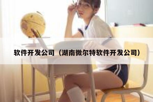 软件开发公司（湖南微尔特软件开发公司） 第1张