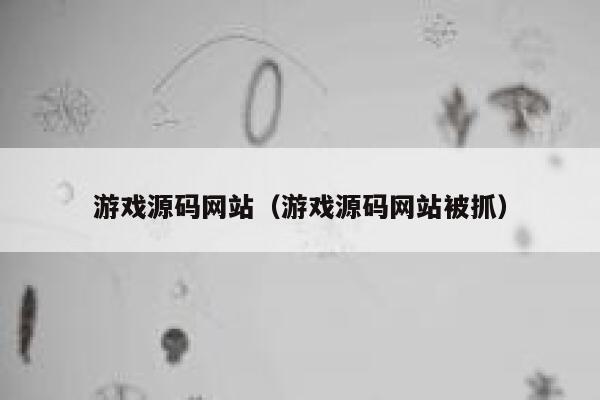 游戏源码网站（游戏源码网站被抓） 第1张