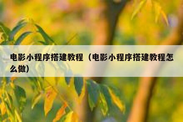 电影小程序搭建教程（电影小程序搭建教程怎么做） 第1张