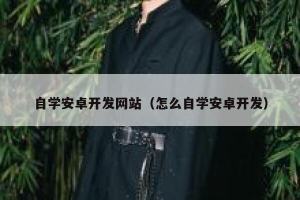 自学安卓开发网站（怎么自学安卓开发） 第1张