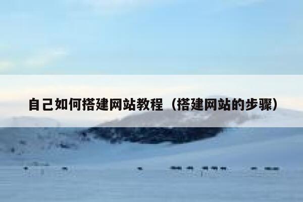 自己如何搭建网站教程（搭建网站的步骤） 第1张