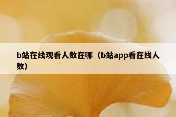 b站在线观看人数在哪（b站app看在线人数） 第1张