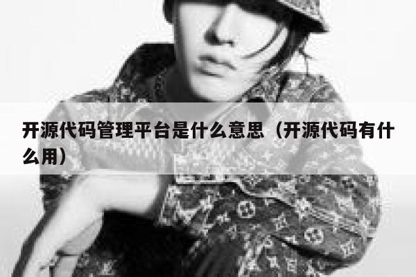 开源代码管理平台是什么意思（开源代码有什么用） 第1张