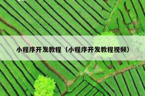 小程序开发教程（小程序开发教程视频） 第1张