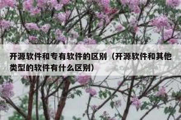 开源软件和专有软件的区别（开源软件和其他类型的软件有什么区别） 第1张