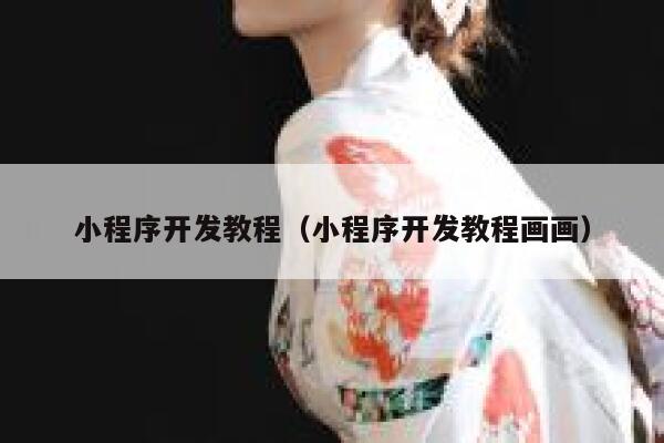 小程序开发教程（小程序开发教程画画） 第1张