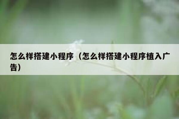 怎么样搭建小程序（怎么样搭建小程序植入广告） 第1张