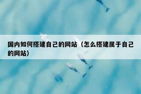 国内如何搭建自己的网站（怎么搭建属于自己的网站） 第1张