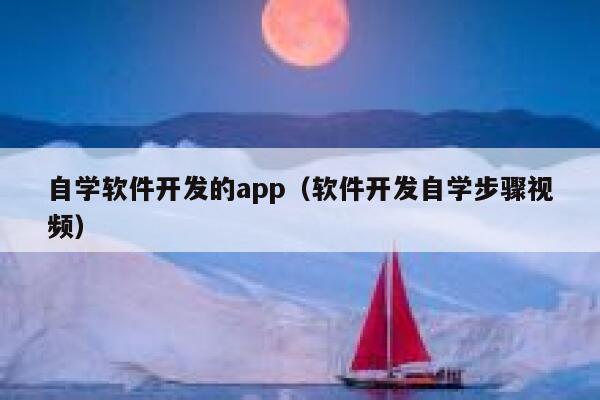 自学软件开发的app（软件开发自学步骤视频） 第1张