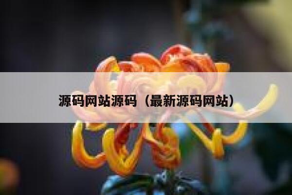 源码网站源码（最新源码网站） 第1张