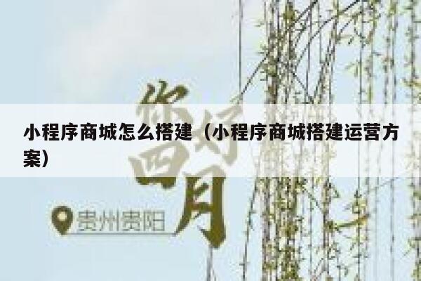 小程序商城怎么搭建（小程序商城搭建运营方案） 第1张