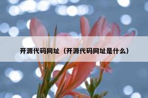 开源代码网址（开源代码网址是什么） 第1张