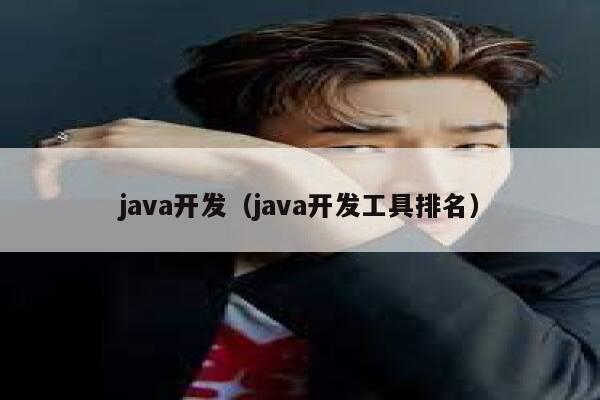 java开发（java开发工具排名） 第1张