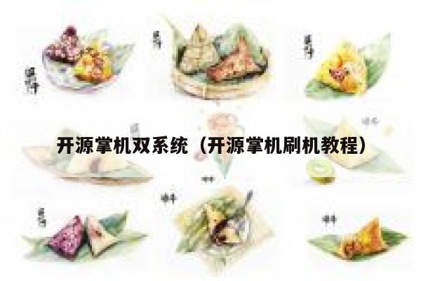 开源掌机双系统（开源掌机刷机教程） 第1张