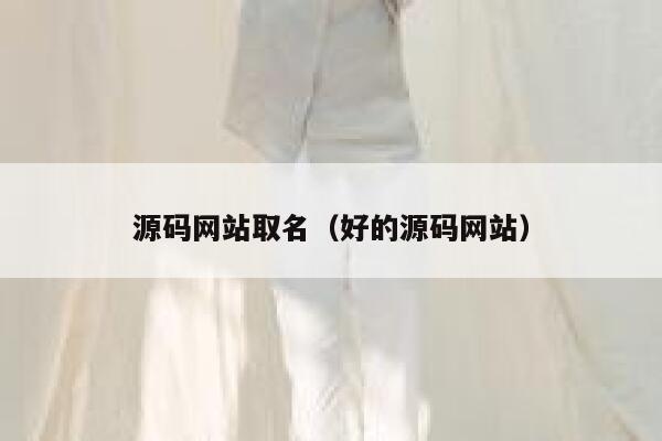 源码网站取名（好的源码网站） 第1张