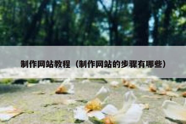 制作网站教程（制作网站的步骤有哪些） 第1张