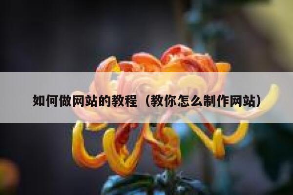 如何做网站的教程（教你怎么制作网站） 第1张
