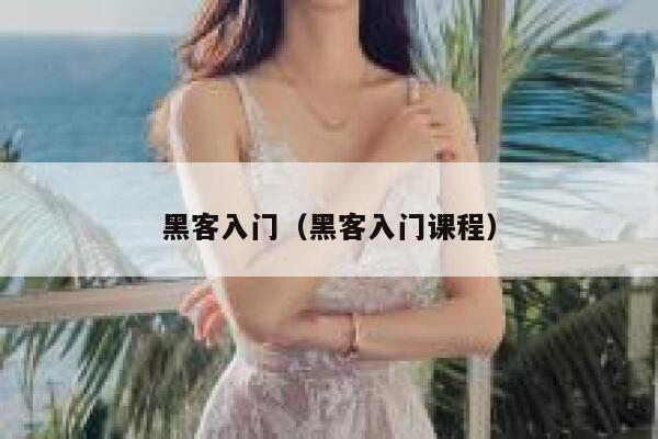 黑客入门（黑客入门课程） 第1张