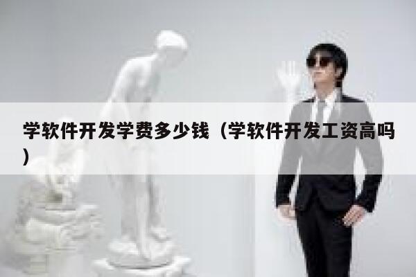 学软件开发学费多少钱（学软件开发工资高吗） 第1张