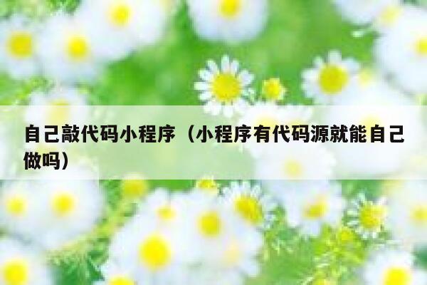 自己敲代码小程序（小程序有代码源就能自己做吗） 第1张