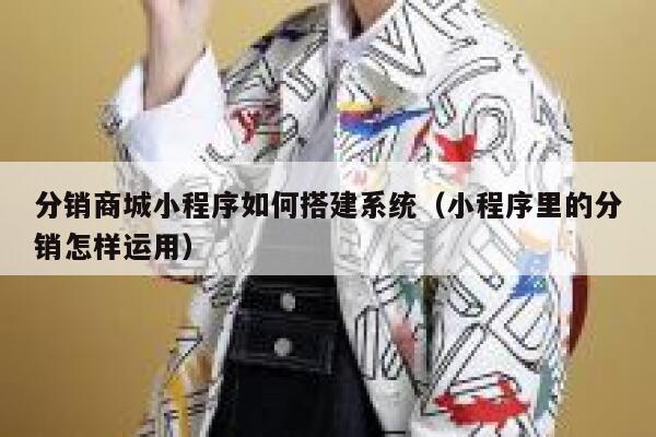 分销商城小程序如何搭建系统（小程序里的分销怎样运用） 第1张