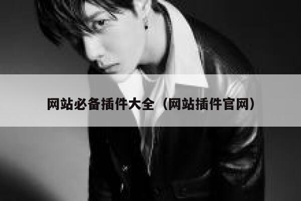 网站必备插件大全（网站插件官网） 第1张