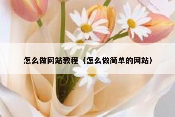 怎么做网站教程（怎么做简单的网站） 第1张