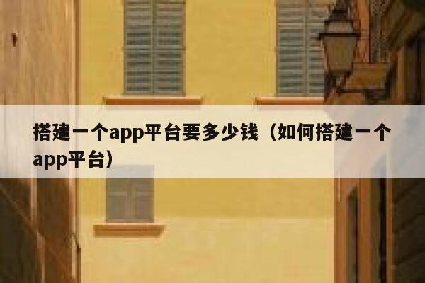 搭建一个app平台要多少钱（如何搭建一个app平台） 第1张
